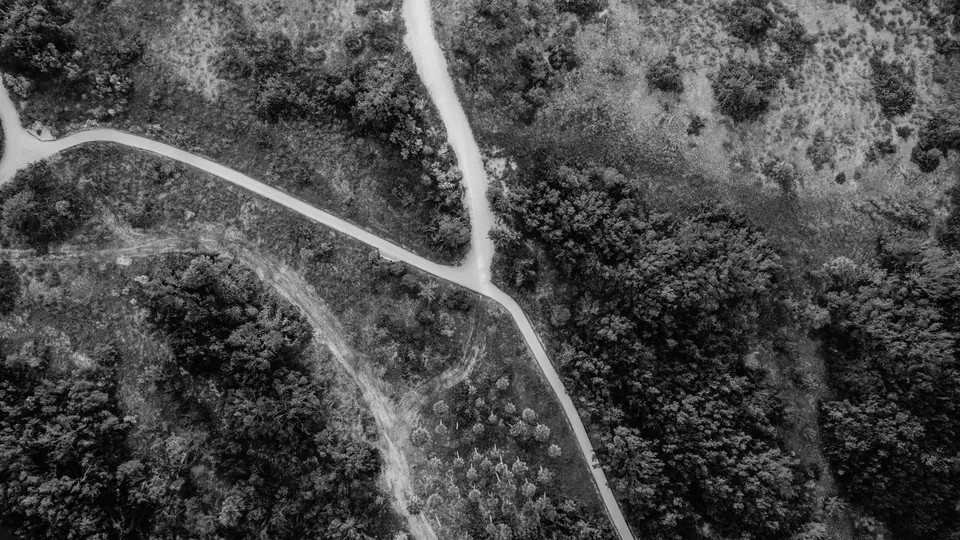 Black-and-white aerial view of a road forking in two through a forest